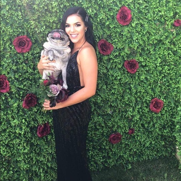 Meet your Posher, Mckinley - Picture 1 of 1